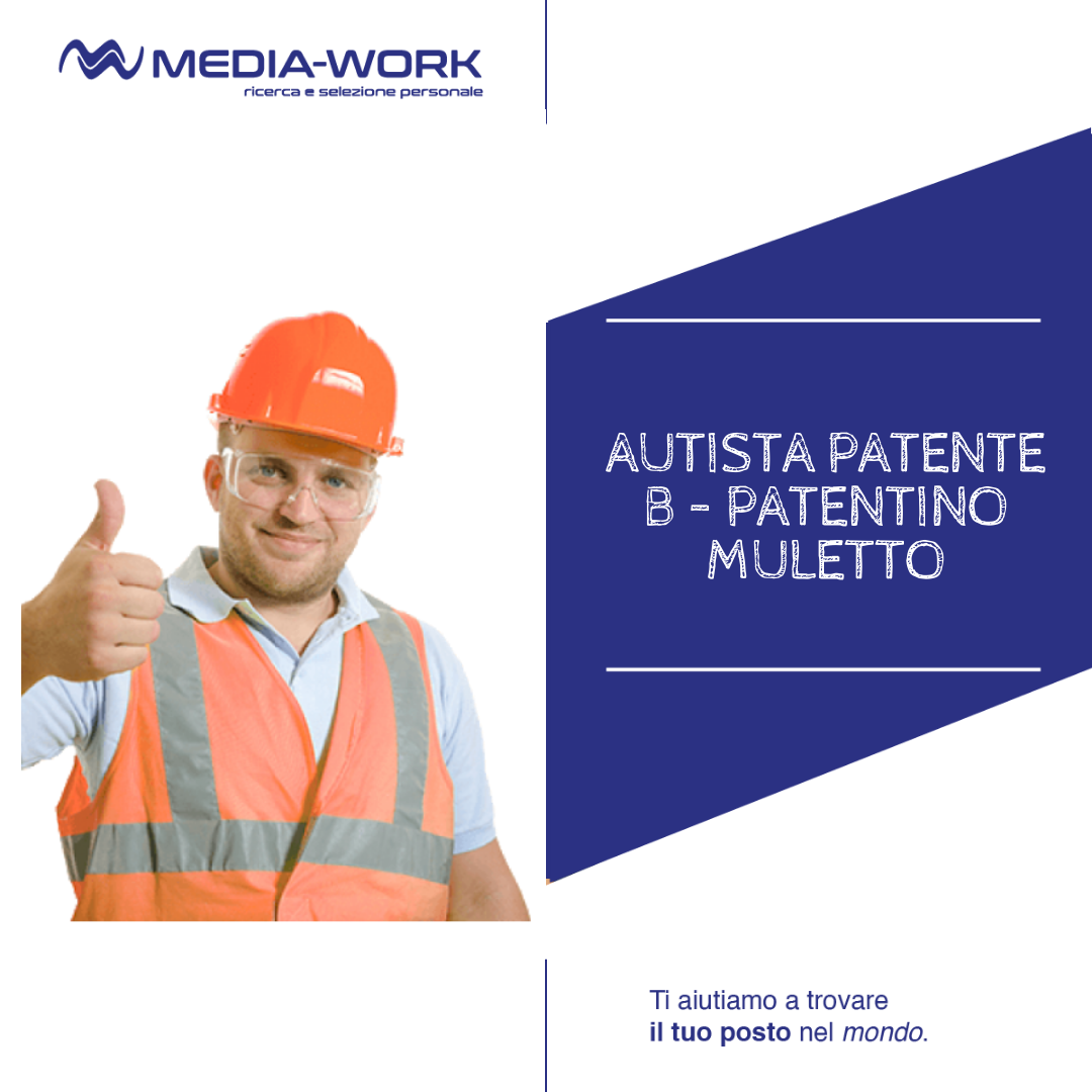 AUTISTA PATENTE B PATENTINO MULETTO MediaWork AUTISTA PATENTE B PATENTINO MULETTO MediaWork